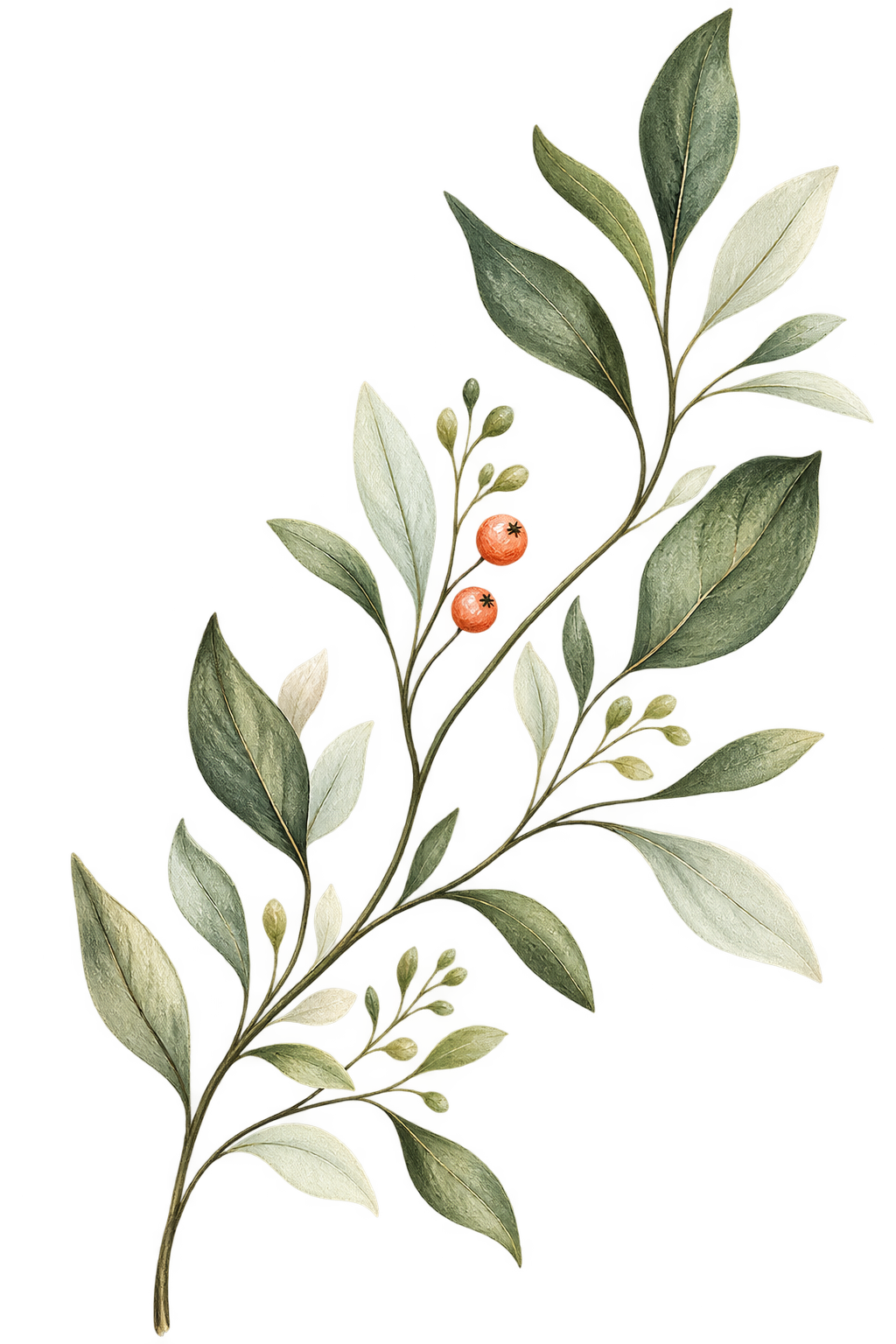 Transparent botanical design decoration